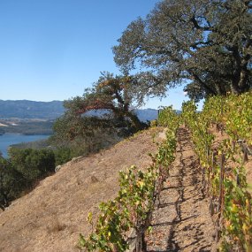 20141019-047 Kuleto Estate - view of Lake Hennessey