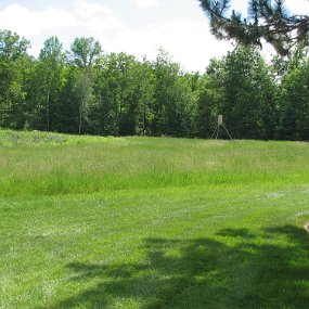 IMG_1145 Open field and deer feeder