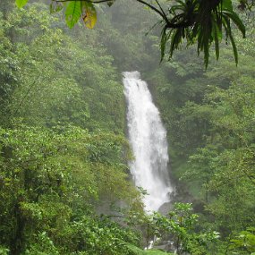 IMG_1017 Trafalgar falls - mama falls