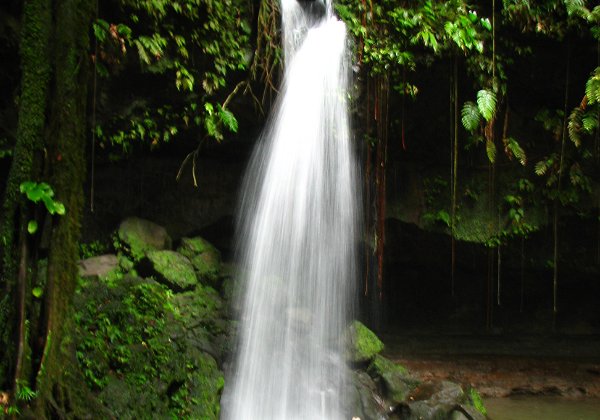 Dominica Winter vacation on the island of Dominica