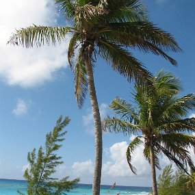 IMG_2289 Lighthouse beach - Carribean side