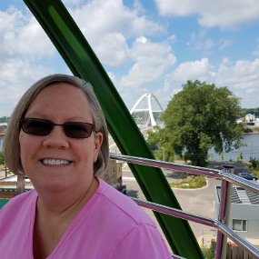 2017-07-16 11.48.36 Lowry bridge over the Mississippi