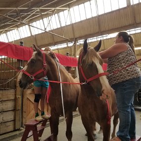 2017-08-25 14.27.54 Horse barn
