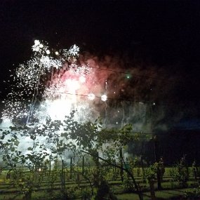 2017-07-01 22.07.21 Fireworks in the vineyard