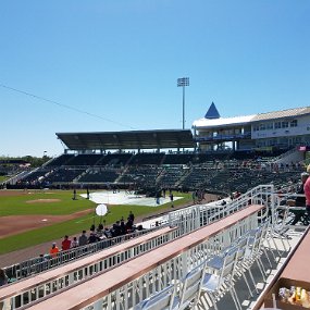 2018-03-13 11.58.30 Twins spring training game - left field