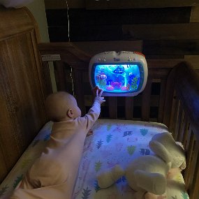 February 9 - our fish tank gift 1