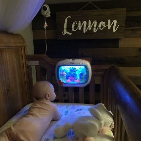 February 9 - our fish tank gift 2