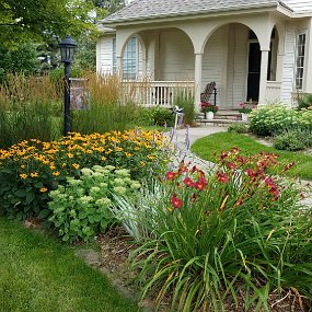 2019-08-11 14.57.04 Our front yard on August 11