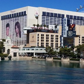 20191011_140001 Flamingo across from the Bellagio fountains