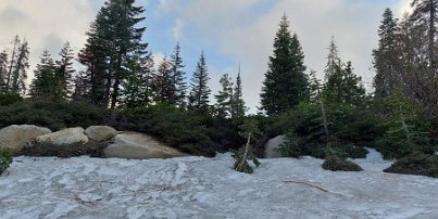 20230609_185534 Sequoia - still some snow all the way down to the 6,000-7,000 foot range